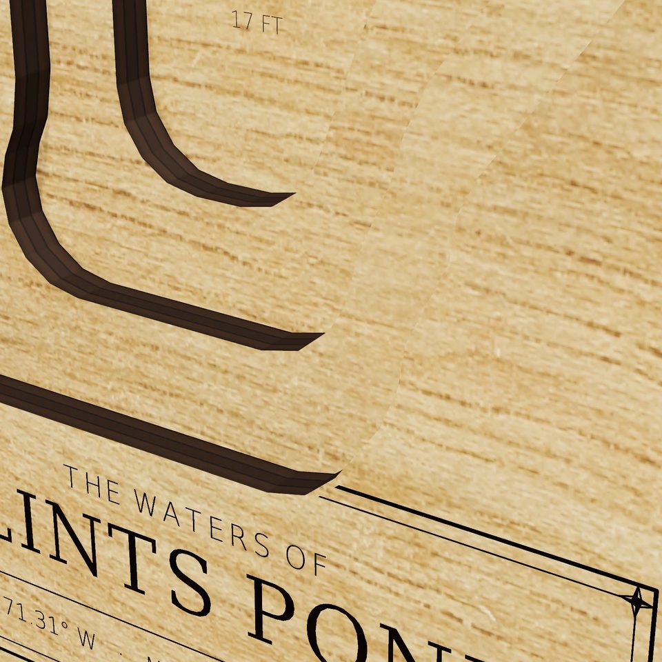 Flints Pond 3D wood map, detail view