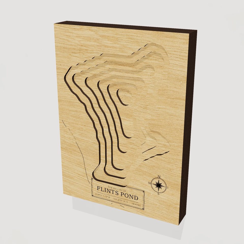 Flints Pond 3D wood map, hero view