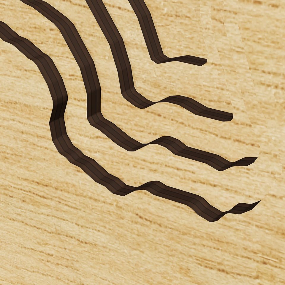 Forest Lake 3D wood map, detail view