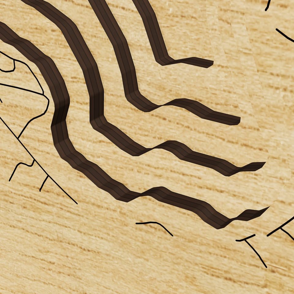 Forest Lake 3D wood map, detail view