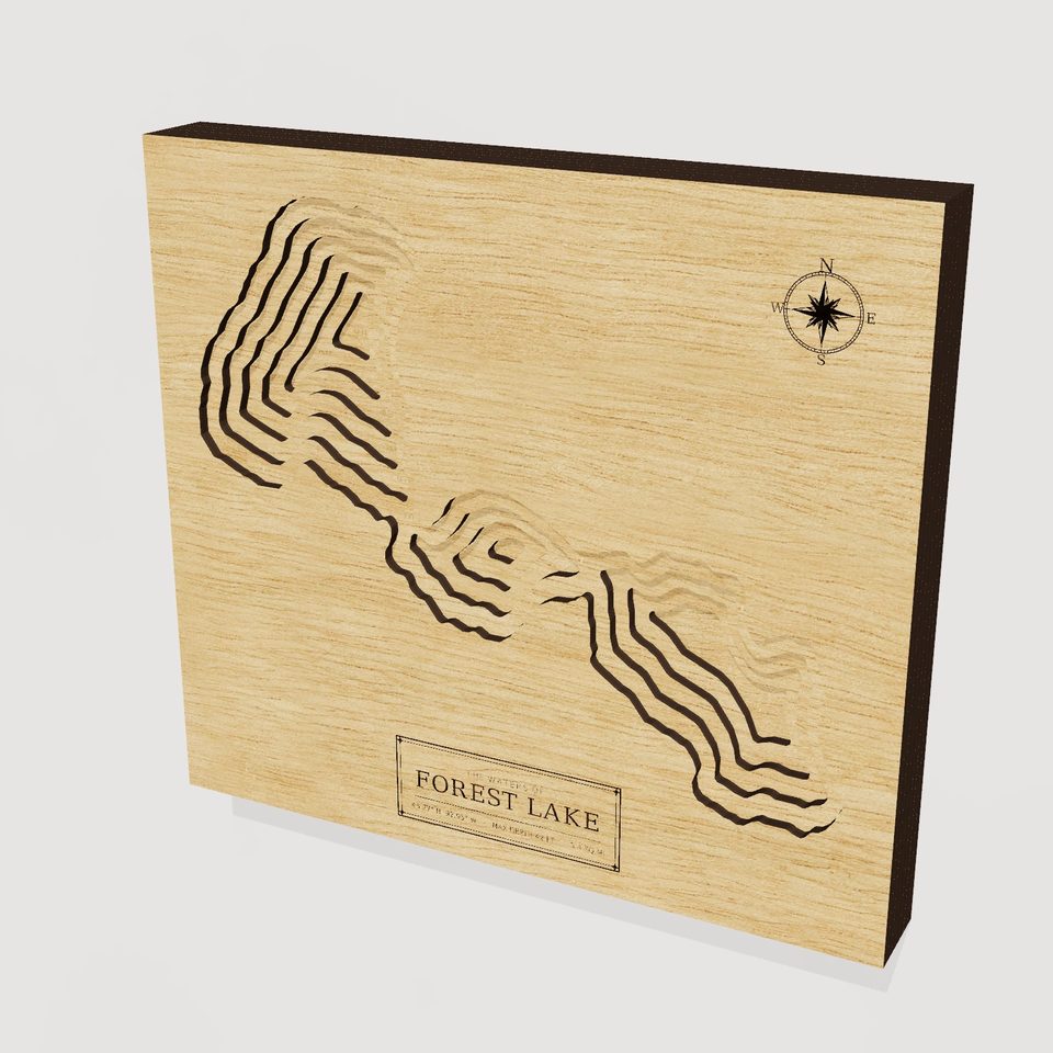 Forest Lake 3D wood map, hero view