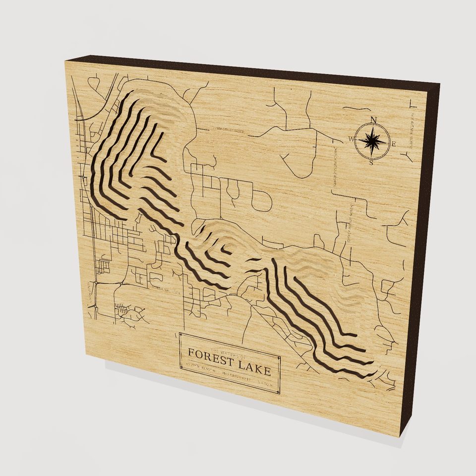 Forest Lake 3D wood map, hero view