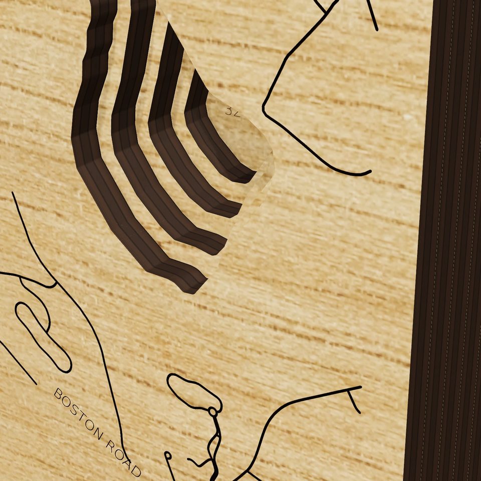 Foss Reservoir 3D wood map, detail view