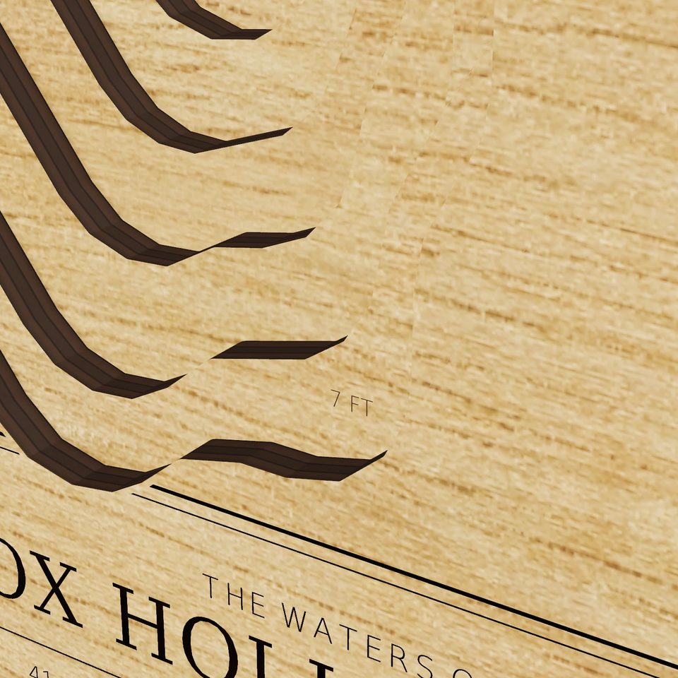 Fox Hollow Lake 3D wood map, detail view