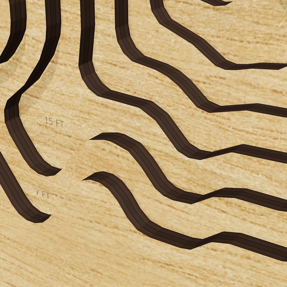 Gallows Pond 3D wood map, detail view