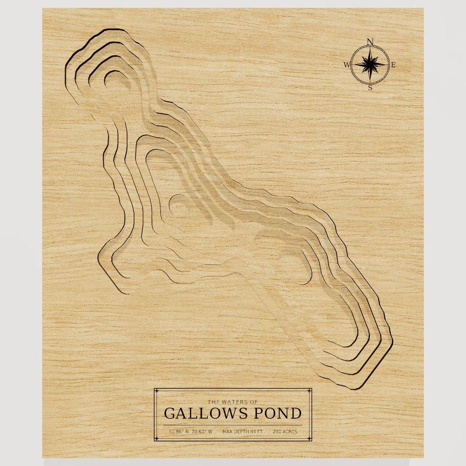 Gallows Pond 3D wood map, front view