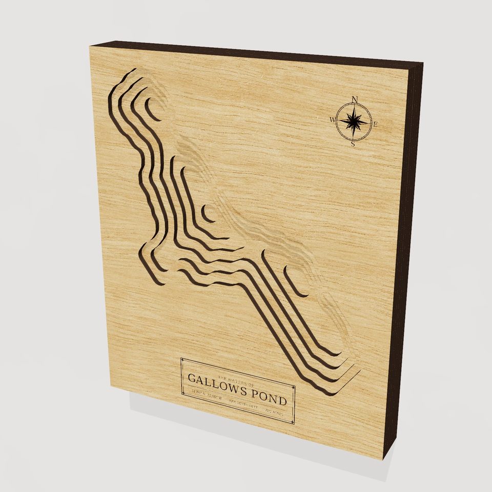 Gallows Pond 3D wood map, hero view