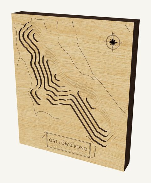 Gallows Pond wood map
