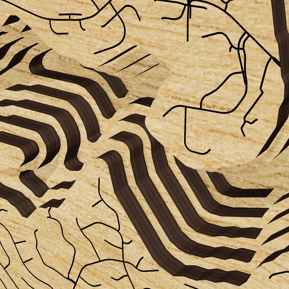 Geist Reservoir 3D wood map, detail view