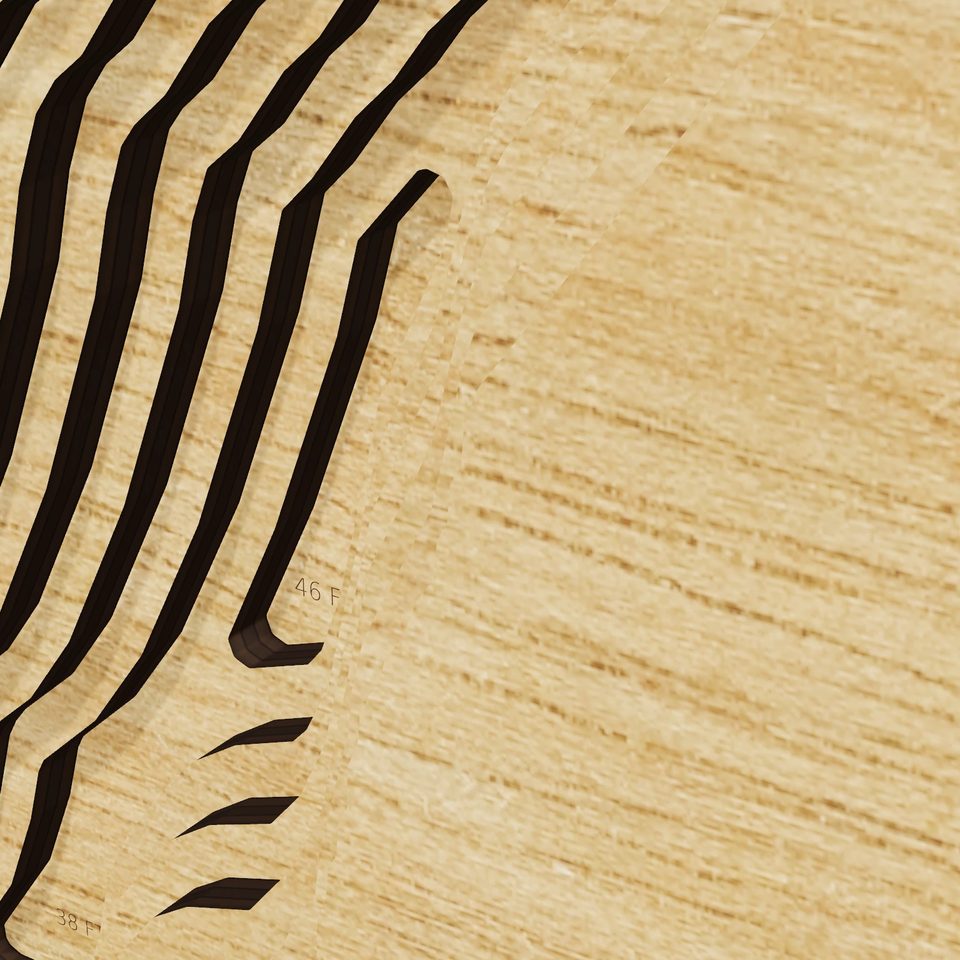 Goose Lake 3D wood map, detail view