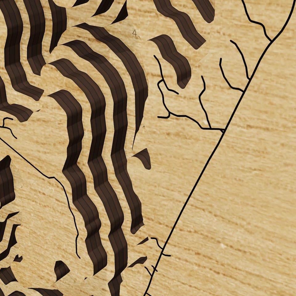Graham Lake 3D wood map, detail view