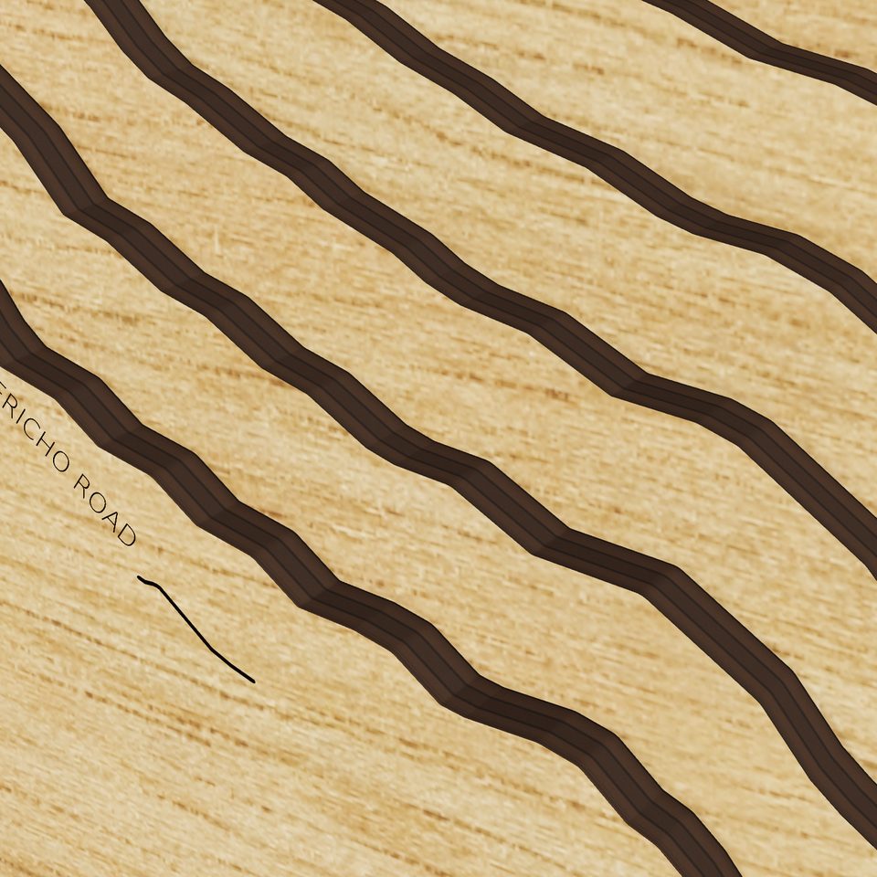 Grand Lake 3D wood map, detail view