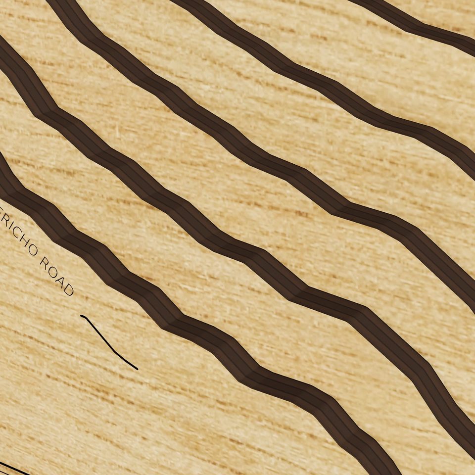 Grand Lake 3D wood map, detail view