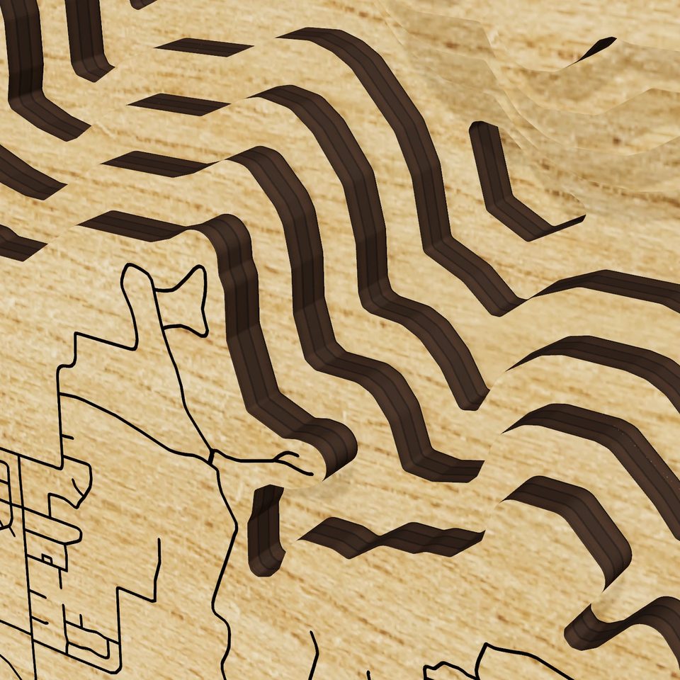 Grapevine Lake 3D wood map, detail view