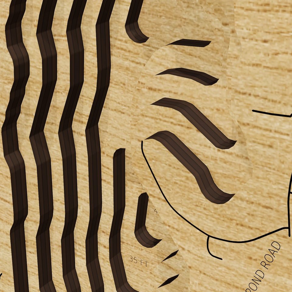 Great Herring Pond 3D wood map, detail view