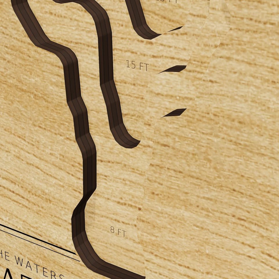 Great Pond 3D wood map, detail view