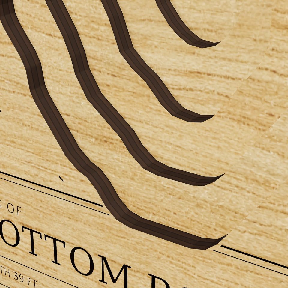 Great Sandy Bottom Pond 3D wood map, detail view