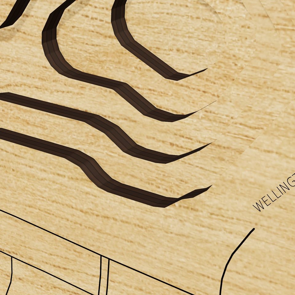 Green Lake 3D wood map, detail view