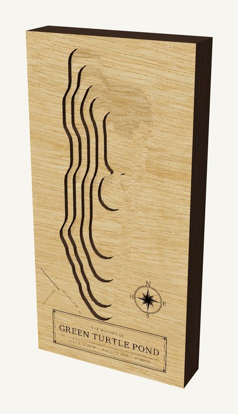 Green Turtle Pond wood map