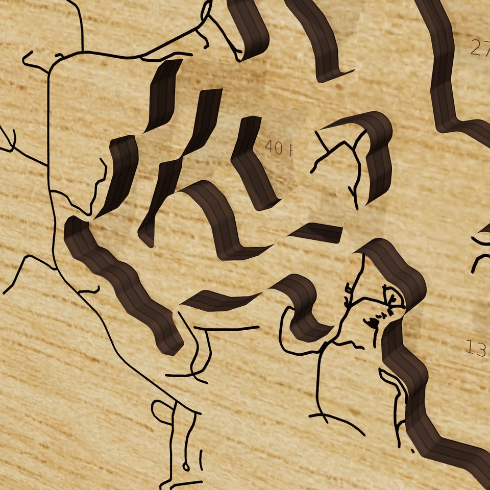 Gull Lake 3D wood map, detail view