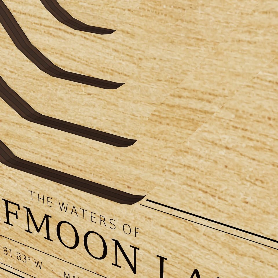 Halfmoon Lake 3D wood map, detail view