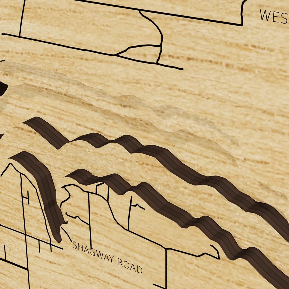 Hamlin Lake 3D wood map, detail view
