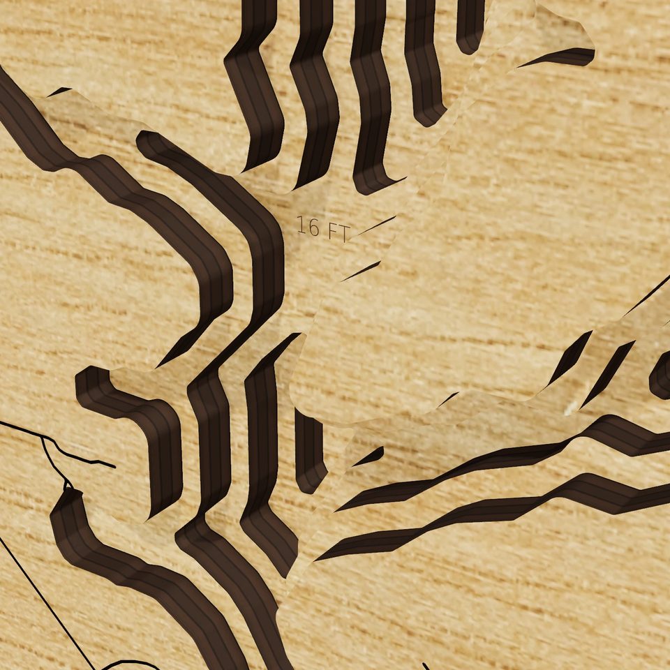 Harris Lake 3D wood map, detail view