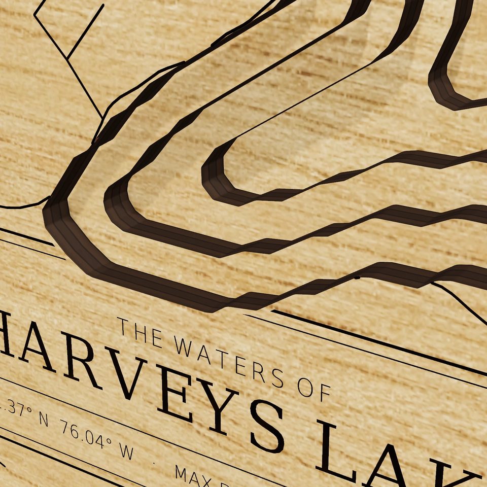 Harveys Lake 3D wood map, detail view
