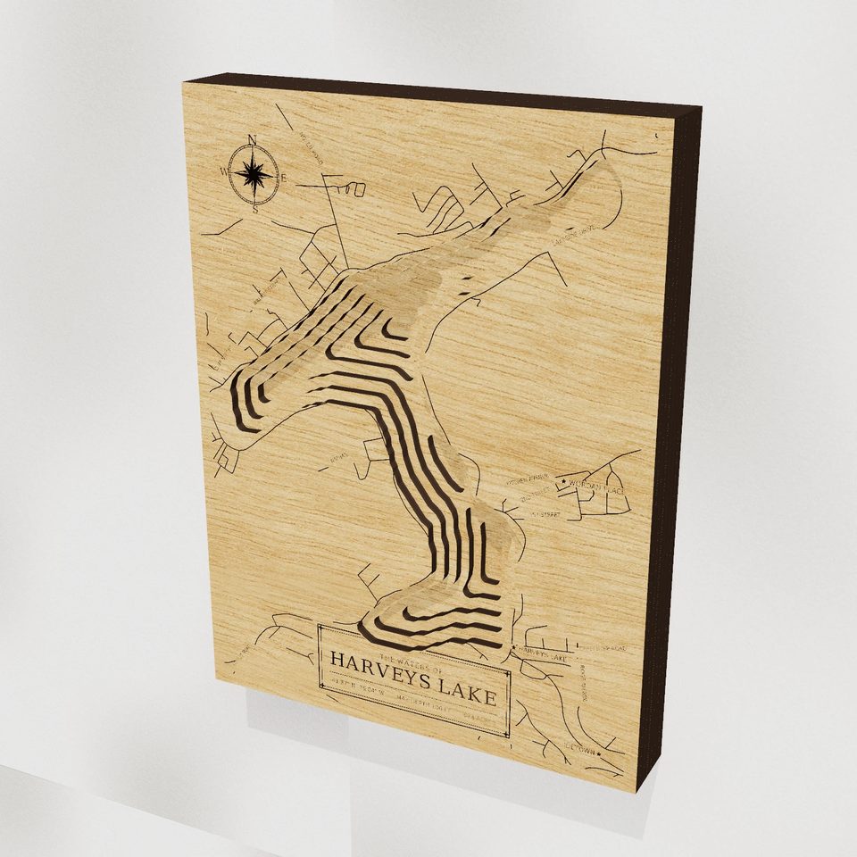Harveys Lake 3D wood map, hero view