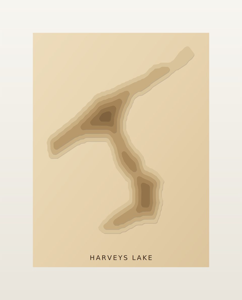 Harveys Lake 3D wood map, preview view
