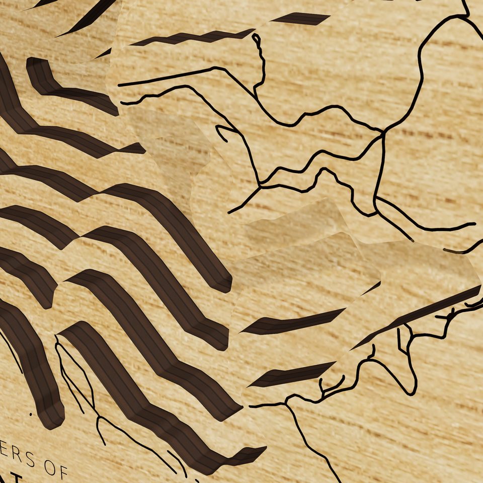 Hayden Lake 3D wood map, detail view