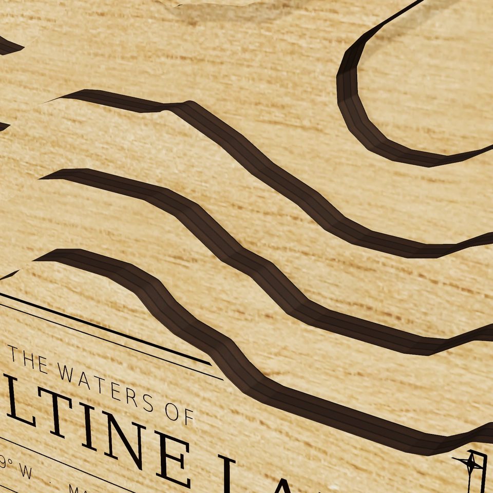 Hazeltine Lake 3D wood map, detail view