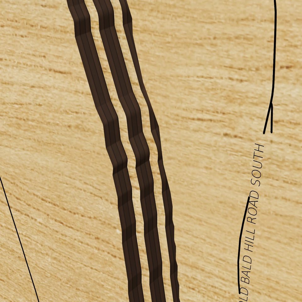 Hemlock Lake 3D wood map, detail view