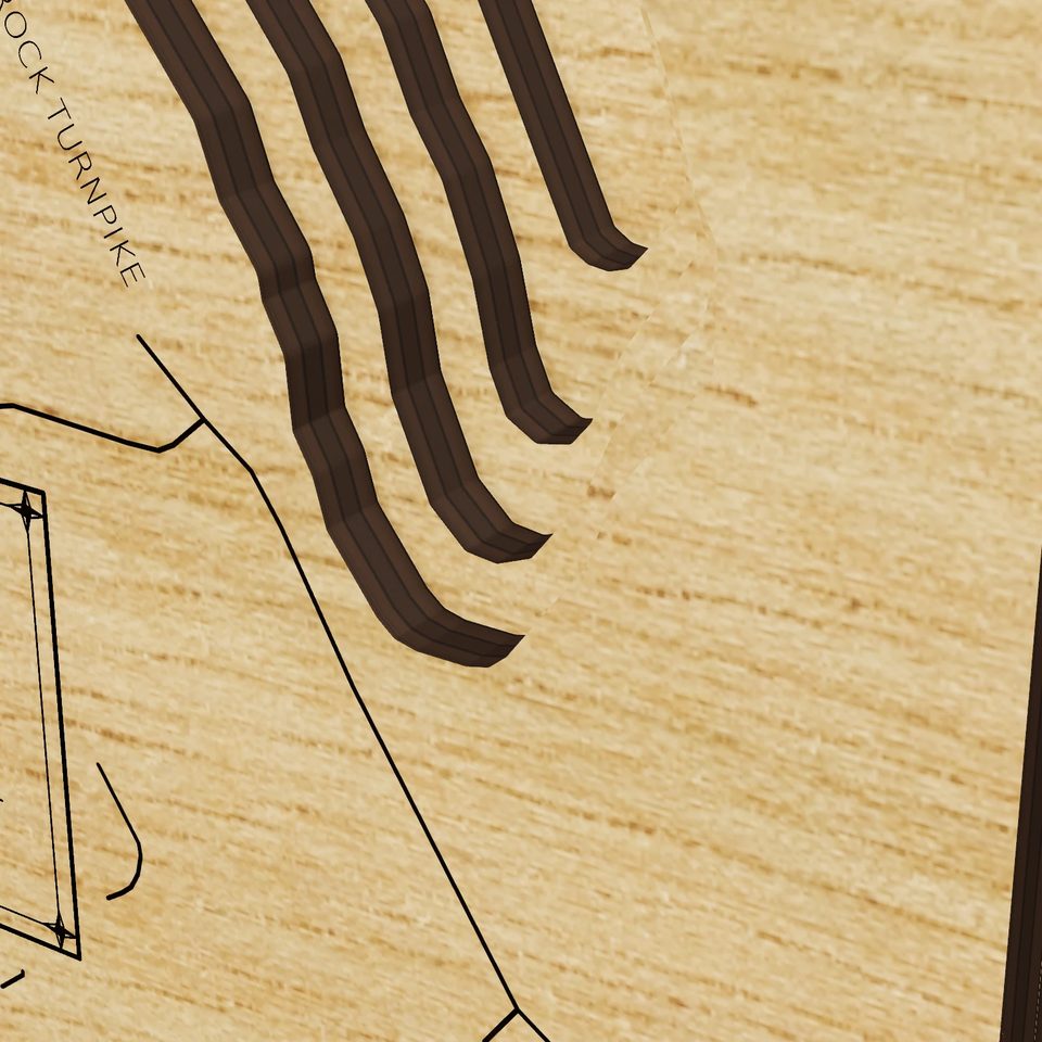 Hemlock Reservoir 3D wood map, detail view