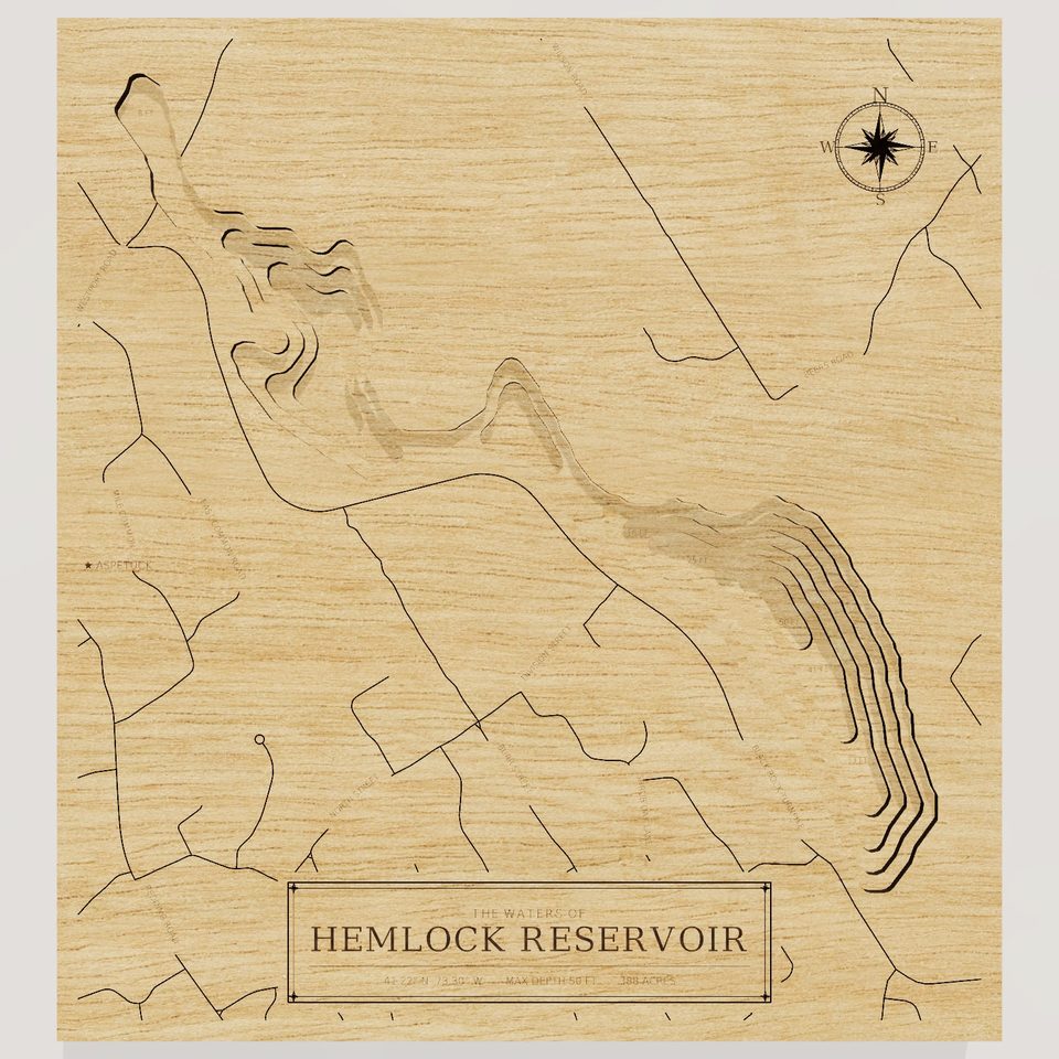 Hemlock Reservoir 3D wood map, front view