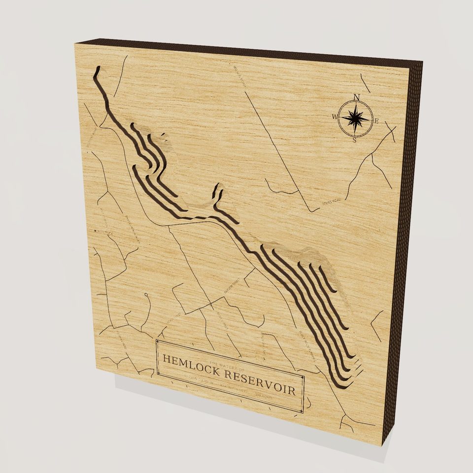 Hemlock Reservoir 3D wood map, hero view