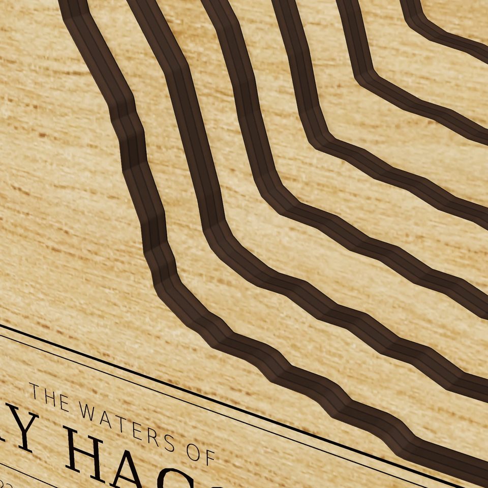Henry Hagg Lake 3D wood map, detail view