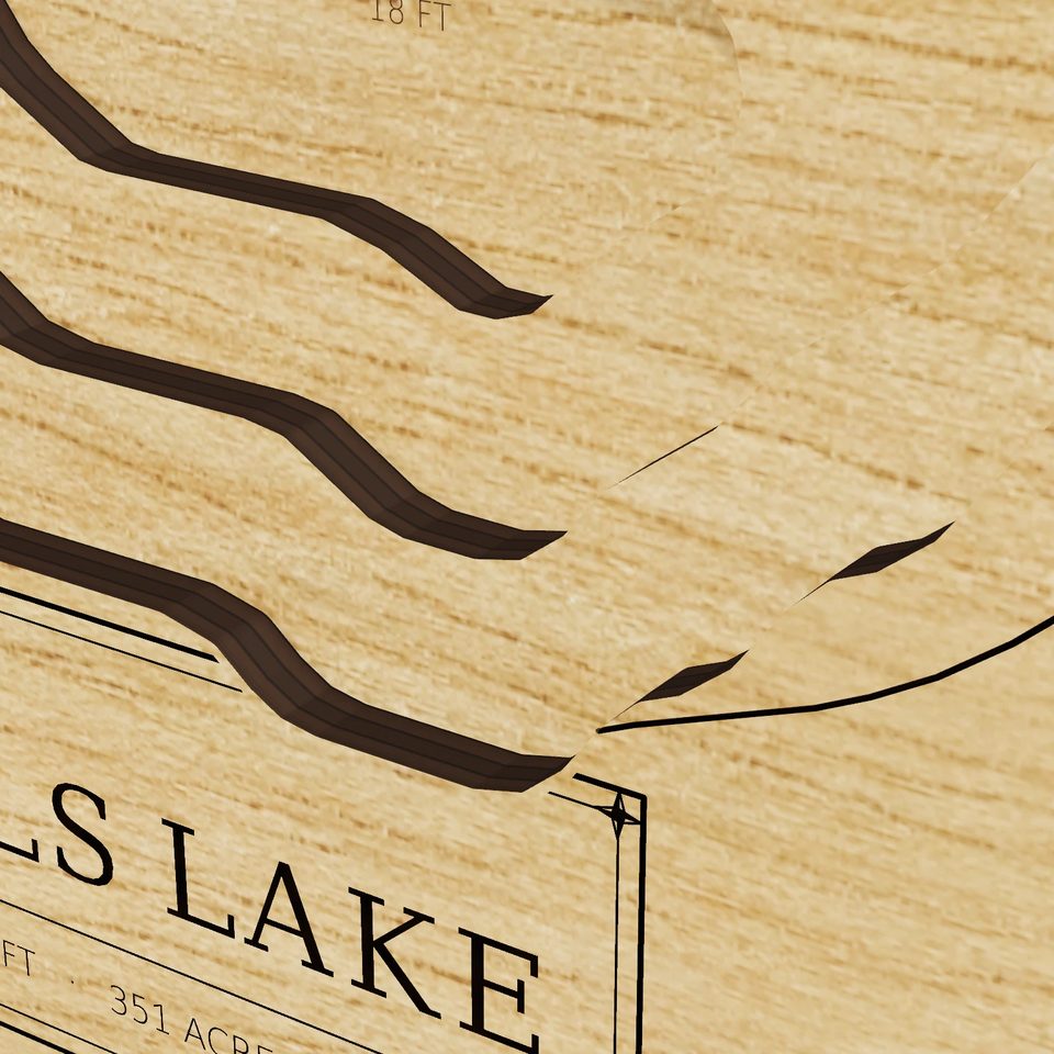 Hickory Hills Lake 3D wood map, detail view
