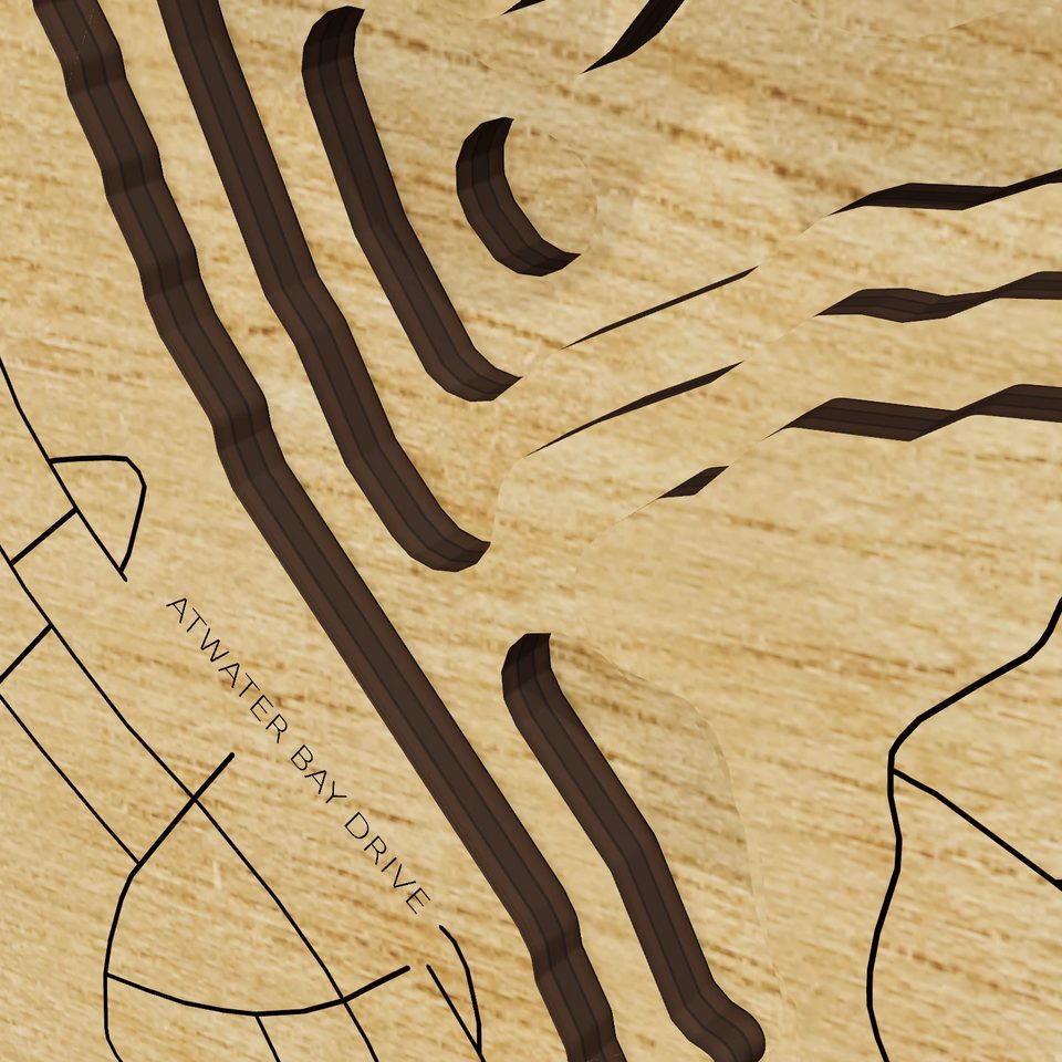 Hickorynut Lake 3D wood map, detail view