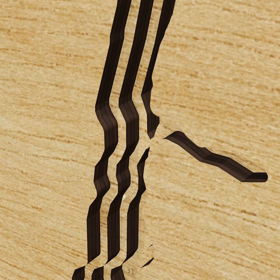 Hoover Reservoir 3D wood map, detail view