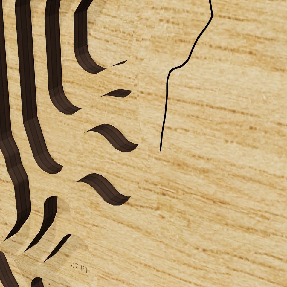 Horace Lake 3D wood map, detail view