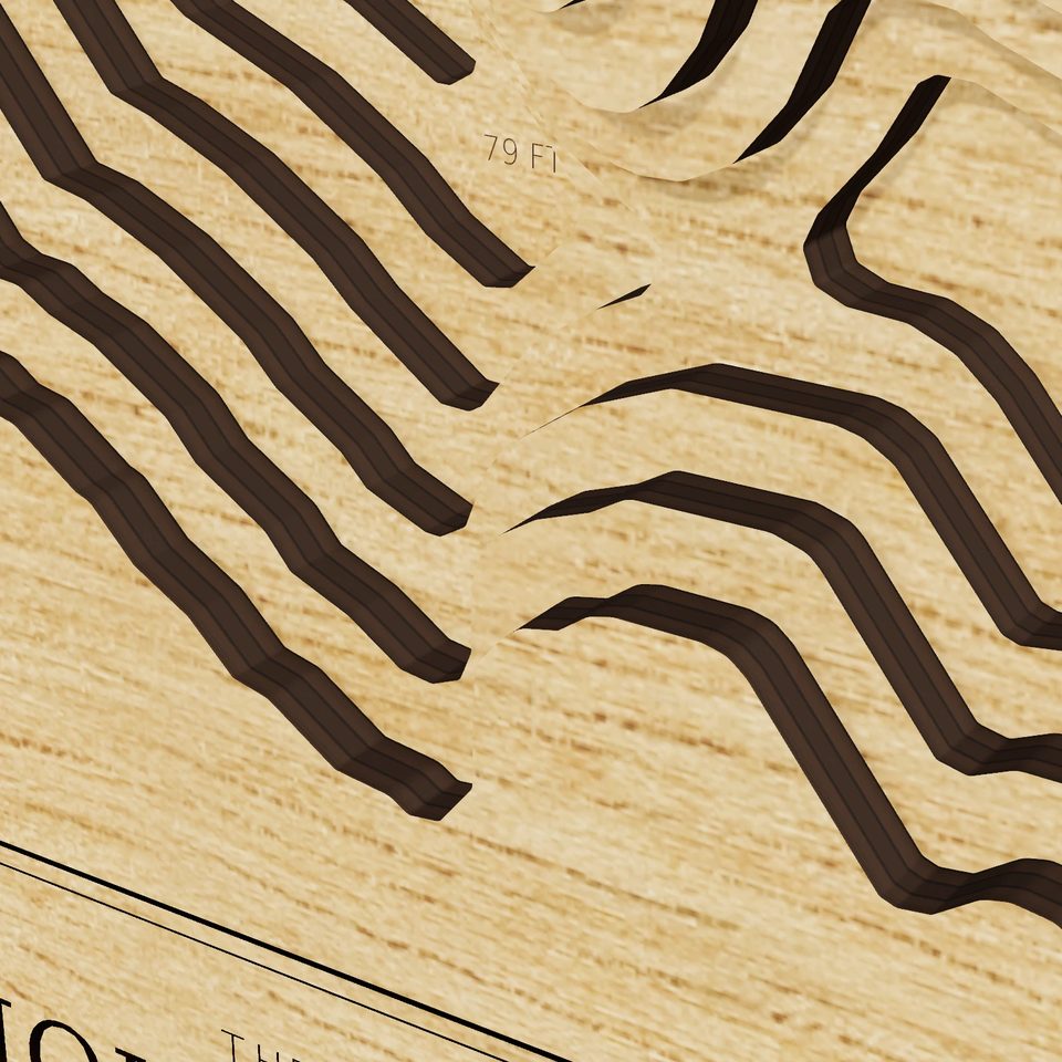 Ice House Reservoir 3D wood map, detail view