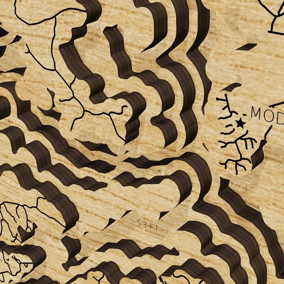 J. Strom Thurmond Lake 3D wood map, detail view