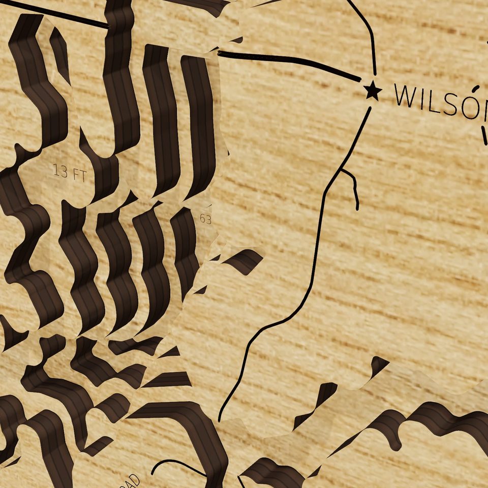 Jordan Lake 3D wood map, detail view