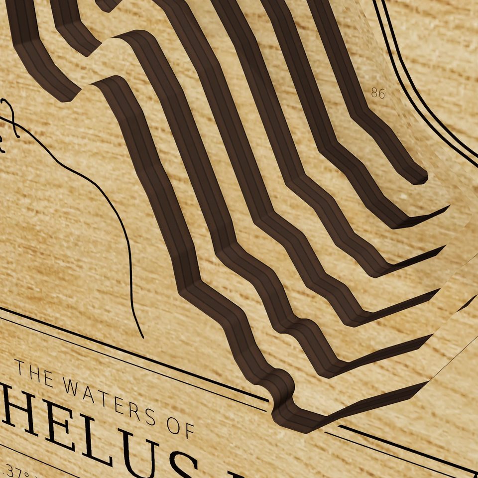 Keechelus Lake 3D wood map, detail view