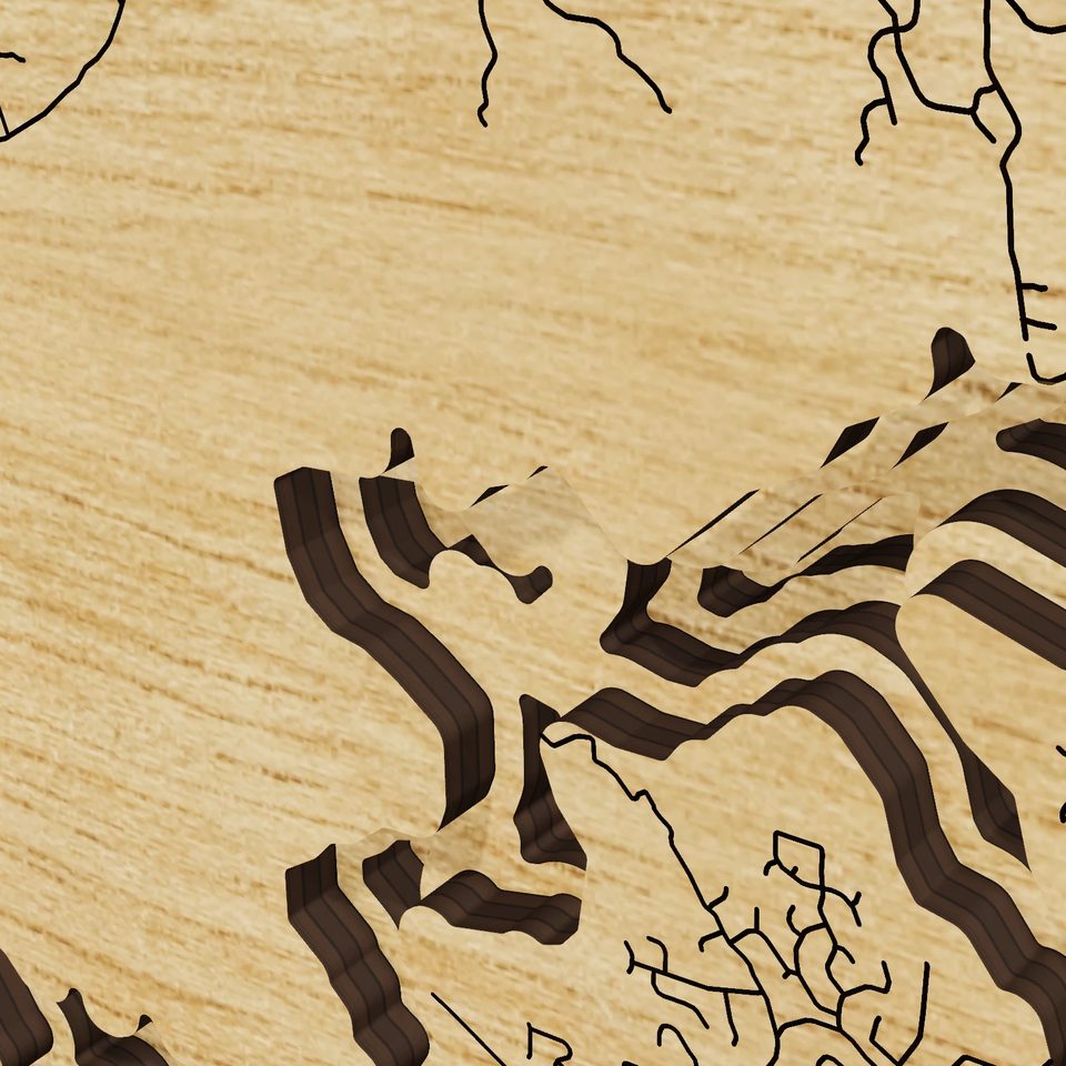 Lake Allatoona 3D wood map, detail view