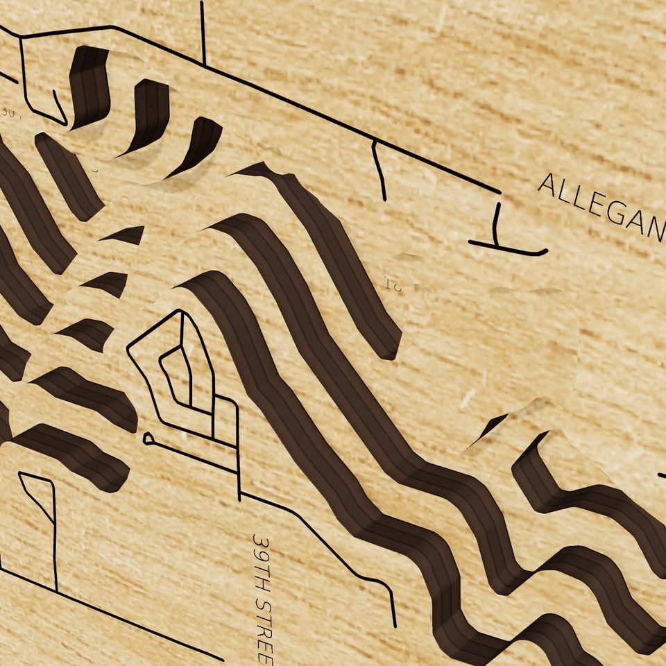 Lake Allegan 3D wood map, detail view
