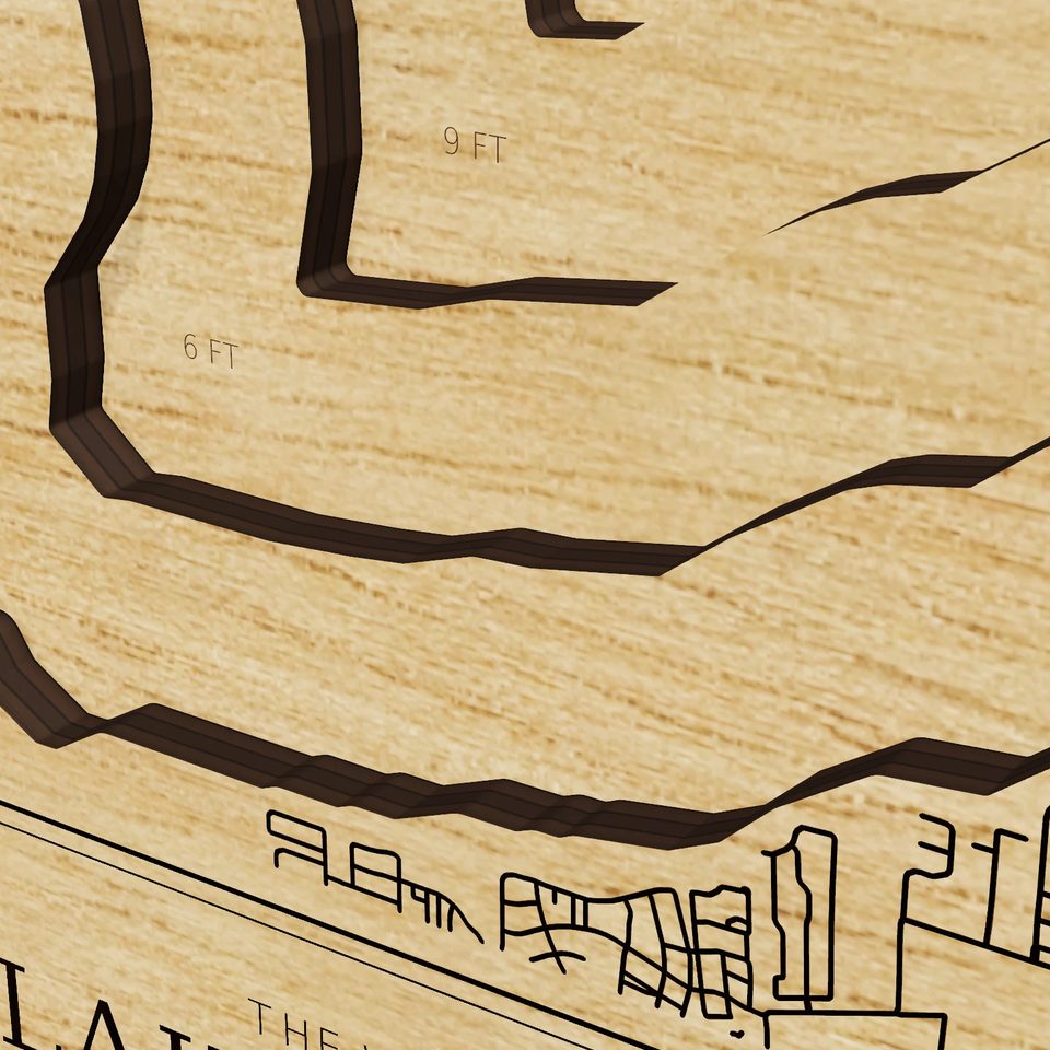Lake Apopka 3D wood map, detail view