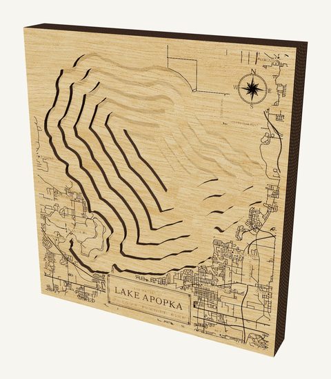 Lake Apopka wood map