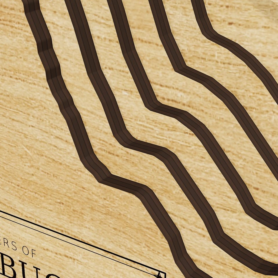 Lake Arbuckle 3D wood map, detail view